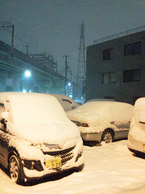 戸田市街もすっかり雪国でした。.jpg