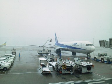 雪の松山空港.JPG